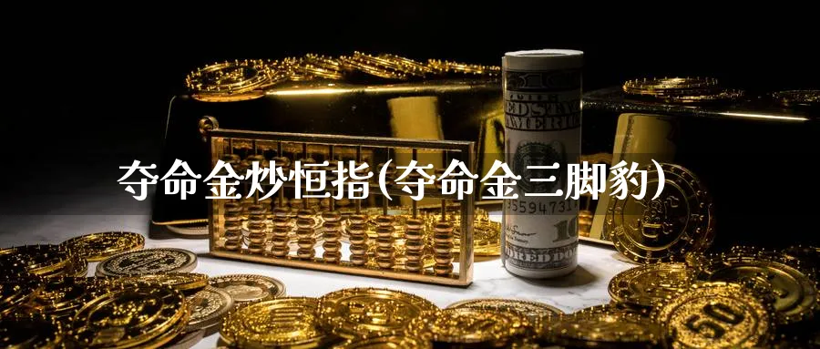 夺命金炒恒指(夺命金三脚豹)_https://www.tian1ad.com_铜期货_第1张