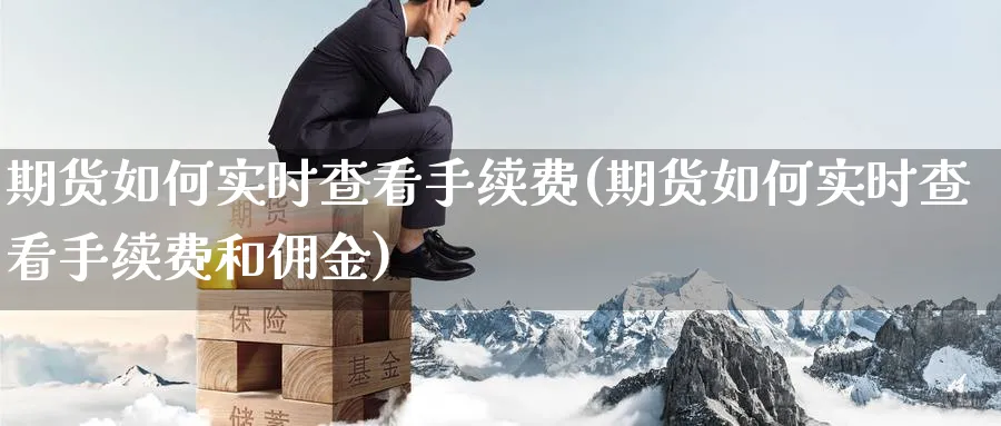 期货如何实时查看手续费(期货如何实时查看手续费和佣金)_https://www.tian1ad.com_黄金直播室_第1张