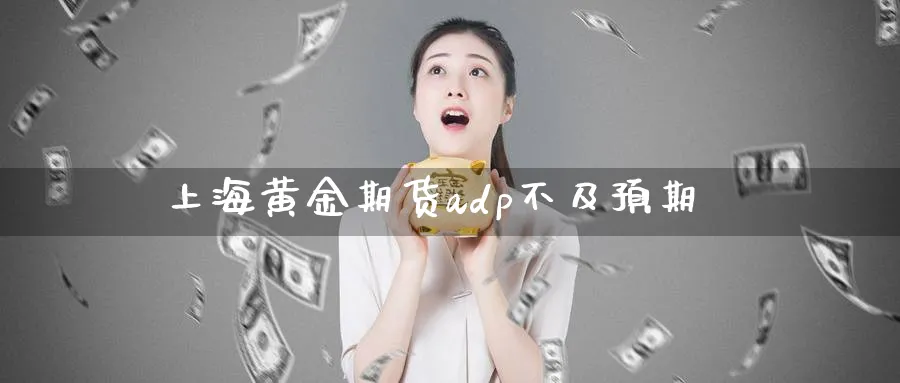 上海黄金期货adp不及预期_https://www.tian1ad.com_黄金直播室_第1张