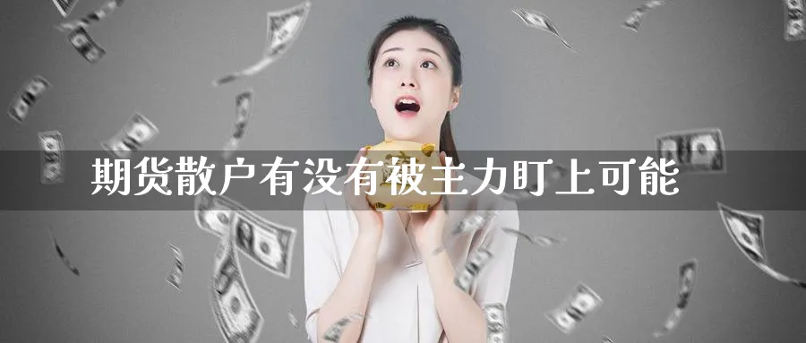 期货散户有没有被主力盯上可能_https://www.tian1ad.com_铜期货_第1张