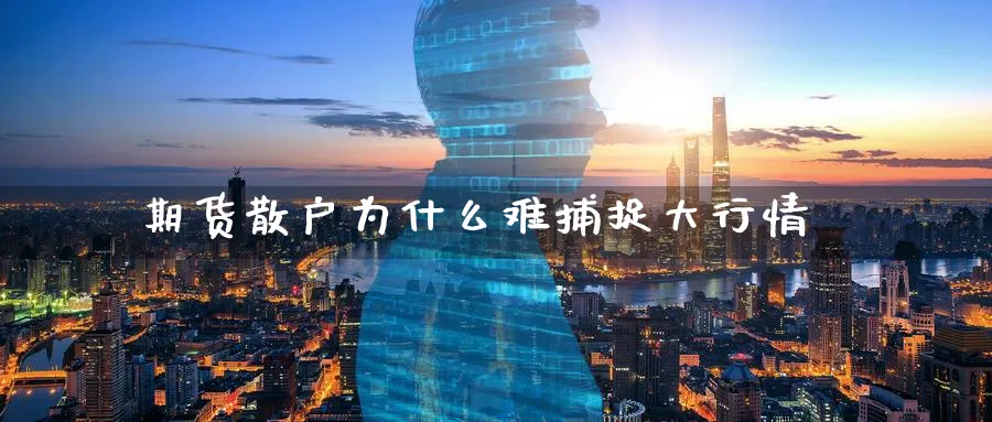 期货散户为什么难捕捉大行情_https://www.tian1ad.com_黄金直播室_第1张