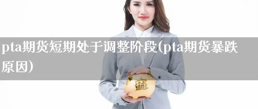 pta期货短期处于调整阶段(pta期货暴跌原因)_https://www.tian1ad.com_期货学院_第1张
