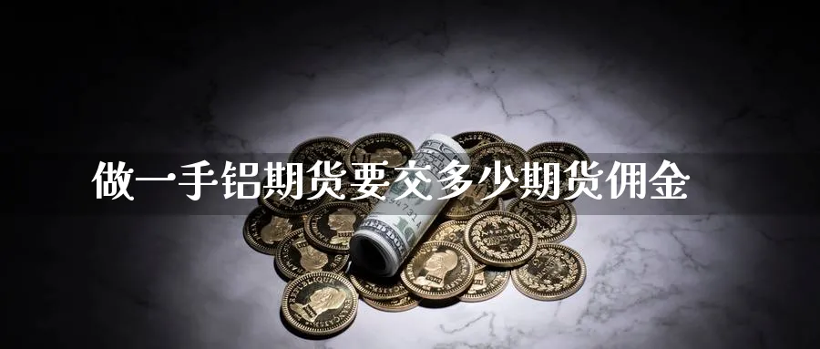 做一手铝期货要交多少期货佣金_https://www.tian1ad.com_黄金直播室_第1张