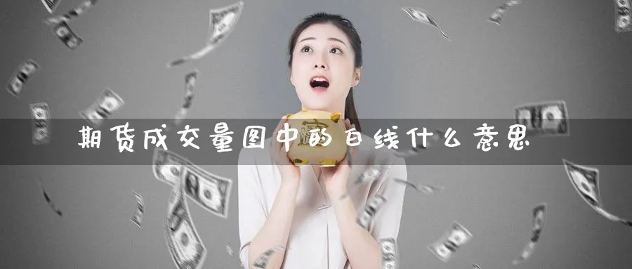 期货成交量图中的白线什么意思_https://www.tian1ad.com_期货学院_第1张