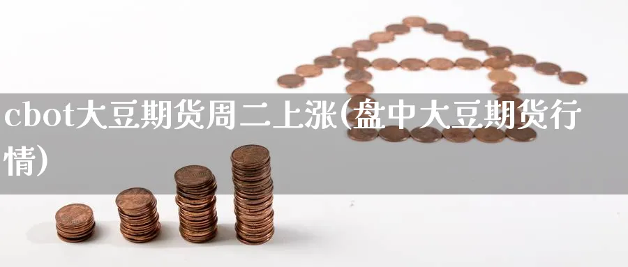 cbot大豆期货周二上涨(盘中大豆期货行情)_https://www.tian1ad.com_期货学院_第1张