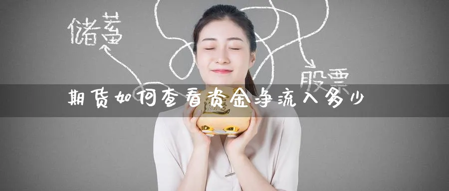 期货如何查看资金净流入多少_https://www.tian1ad.com_铜期货_第1张