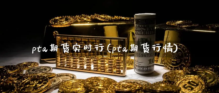 pta期货实时行(pta期货行情)_https://www.tian1ad.com_期货学院_第1张