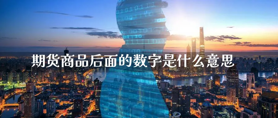 期货商品后面的数字是什么意思_https://www.tian1ad.com_黄金直播室_第1张
