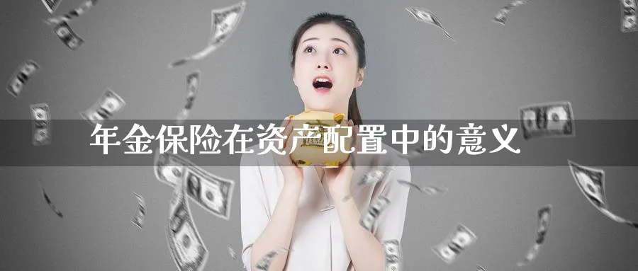 年金保险在资产配置中的意义_https://www.tian1ad.com_期货学院_第1张