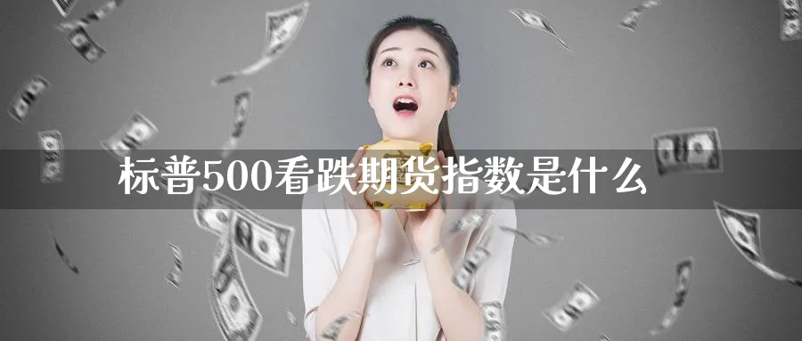 标普500看跌期货指数是什么_https://www.tian1ad.com_铜期货_第1张