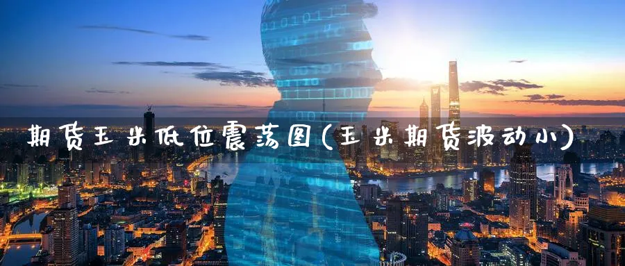 期货玉米低位震荡图(玉米期货波动小)_https://www.tian1ad.com_期货学院_第1张