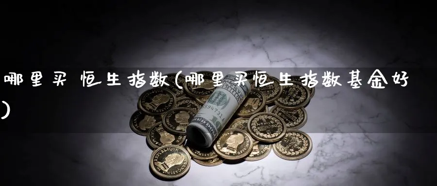 哪里买 恒生指数(哪里买恒生指数基金好)_https://www.tian1ad.com_期货学院_第1张