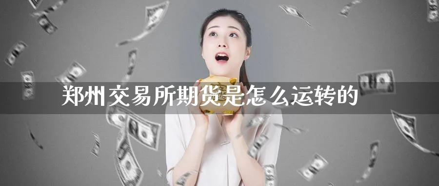 郑州交易所期货是怎么运转的_https://www.tian1ad.com_期货学院_第1张