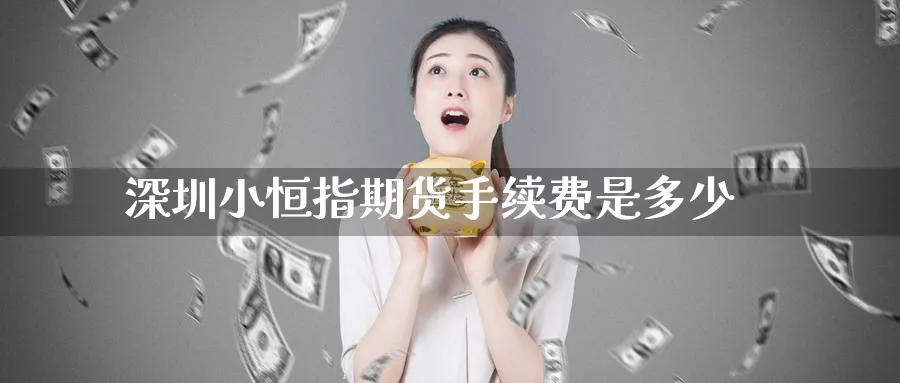 深圳小恒指期货手续费是多少_https://www.tian1ad.com_黄金期货_第1张