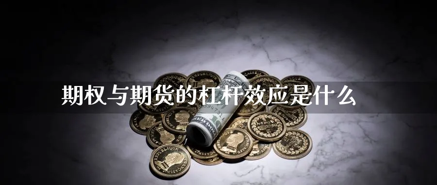 期权与期货的杠杆效应是什么_https://www.tian1ad.com_铜期货_第1张