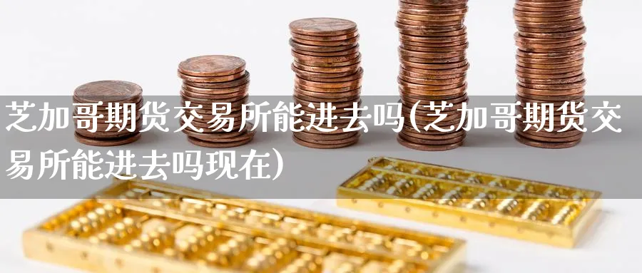 芝加哥期货交易所能进去吗(芝加哥期货交易所能进去吗现在)_https://www.tian1ad.com_黄金期货_第1张