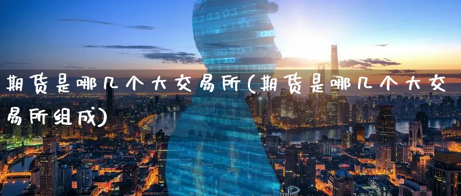 期货是哪几个大交易所(期货是哪几个大交易所组成)_https://www.tian1ad.com_期货学院_第1张