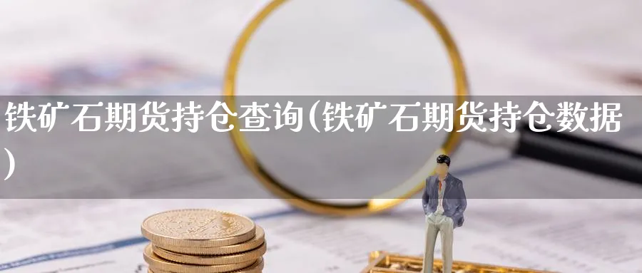 铁矿石期货持仓查询(铁矿石期货持仓数据)_https://www.tian1ad.com_期货学院_第1张