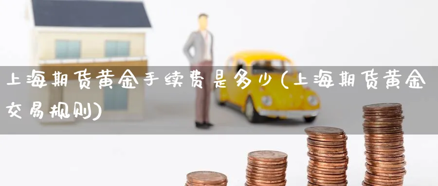 上海期货黄金手续费是多少(上海期货黄金交易规则)_https://www.tian1ad.com_黄金直播室_第1张