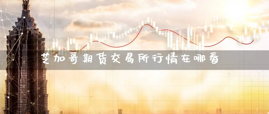 芝加哥期货交易所行情在哪看_https://www.tian1ad.com_期货学院_第1张