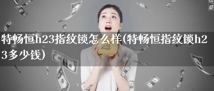 特畅恒h23指纹锁怎么样(特畅恒指纹锁h23多少钱)_https://www.tian1ad.com_期货学院_第1张