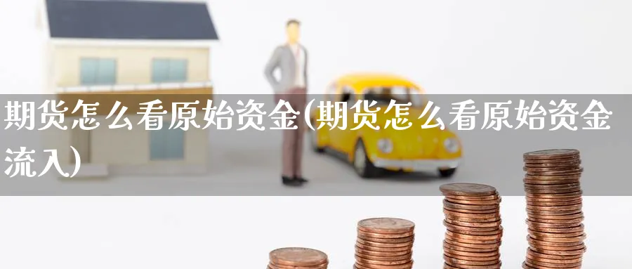 期货怎么看原始资金(期货怎么看原始资金流入)_https://www.tian1ad.com_黄金期货_第1张