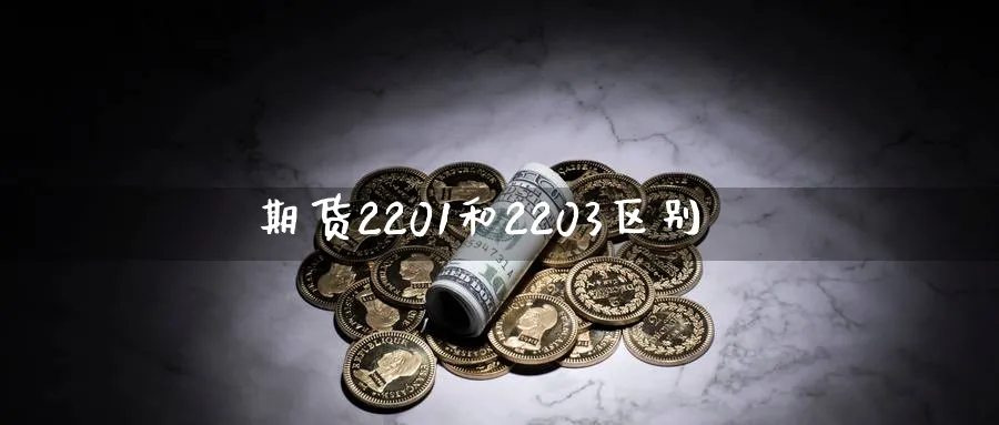 期货2201和2203区别_黄金期货_第1张_黄金直播室 期货2201和2203区别_https://www.tian1ad.com_黄金期货_第1张