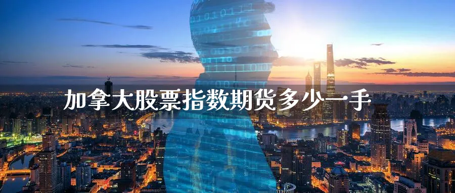 加拿大股票指数期货多少一手_https://www.tian1ad.com_期货学院_第1张