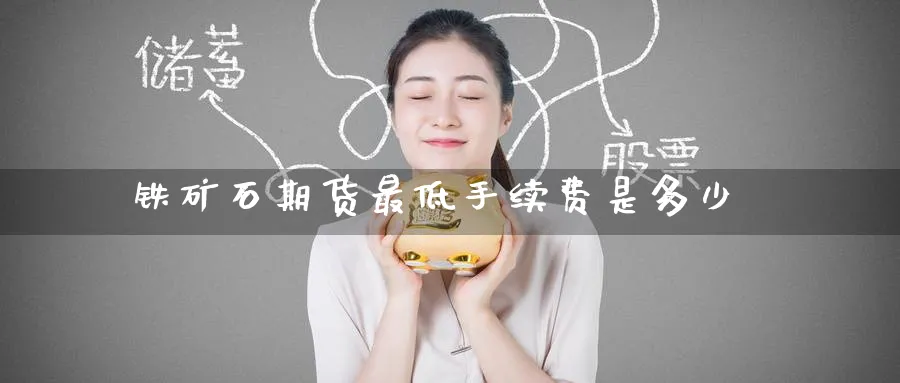 铁矿石期货最低手续费是多少_https://www.tian1ad.com_期货学院_第1张