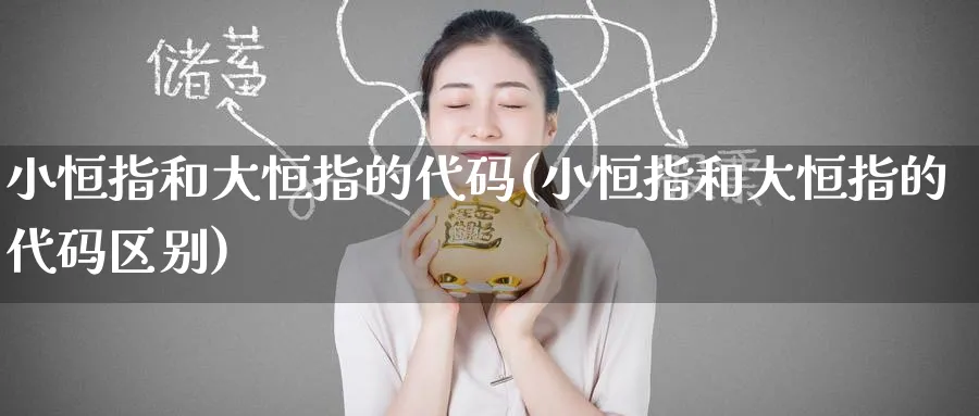 小恒指和大恒指的代码(小恒指和大恒指的代码区别)_https://www.tian1ad.com_铜期货_第1张