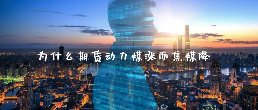 为什么期货动力煤涨而焦煤降_https://www.tian1ad.com_黄金期货_第1张