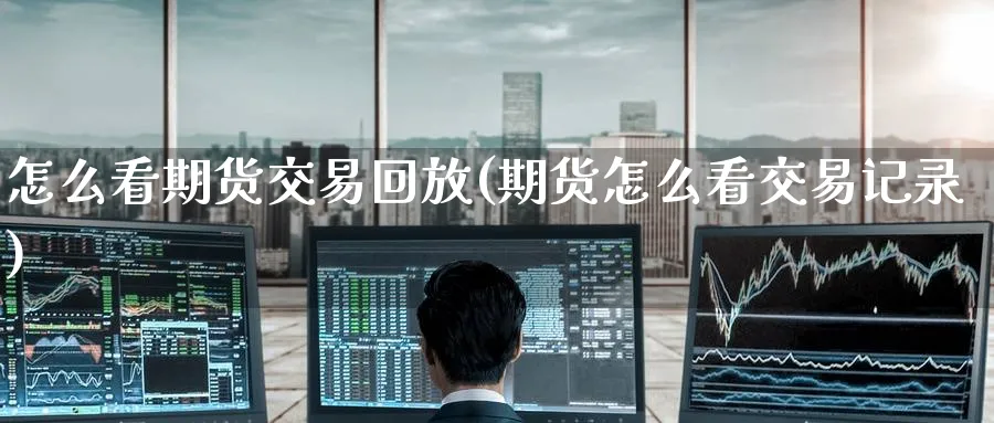 怎么看期货交易回放(期货怎么看交易记录)_https://www.tian1ad.com_期货学院_第1张