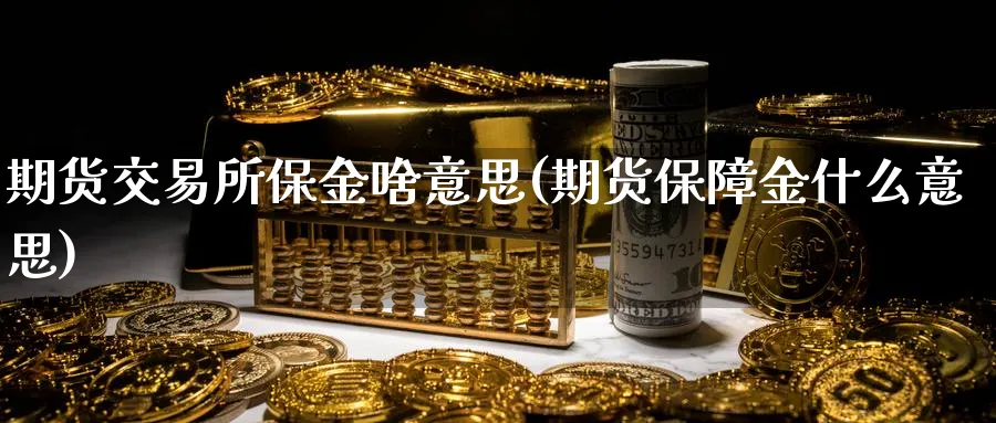 期货交易所保金啥意思(期货保障金什么意思)_https://www.tian1ad.com_期货学院_第1张