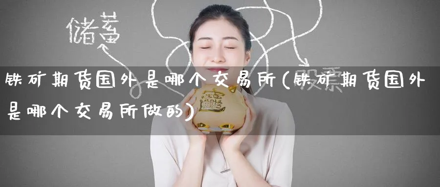 铁矿期货国外是哪个交易所(铁矿期货国外是哪个交易所做的)_https://www.tian1ad.com_期货学院_第1张