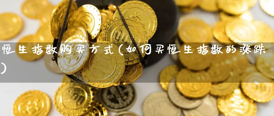 恒生指数购买方式(如何买恒生指数的涨跌)_https://www.tian1ad.com_铜期货_第1张