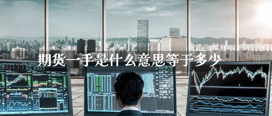 期货一手是什么意思等于多少_https://www.tian1ad.com_黄金直播室_第1张