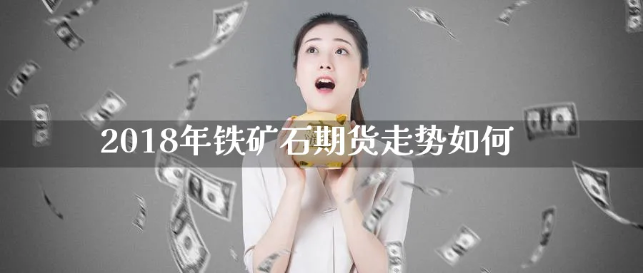 2018年铁矿石期货走势如何_https://www.tian1ad.com_期货学院_第1张