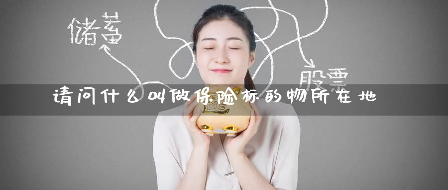 请问什么叫做保险标的物所在地_https://www.tian1ad.com_黄金直播室_第1张