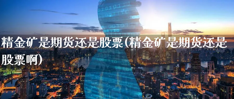 精金矿是期货还是股票(精金矿是期货还是股票啊)_https://www.tian1ad.com_铜期货_第1张