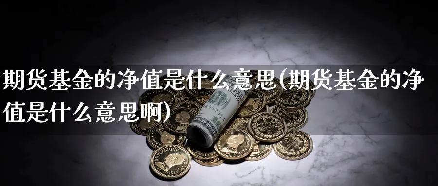 期货基金的净值是什么意思(期货基金的净值是什么意思啊)_https://www.tian1ad.com_铜期货_第1张