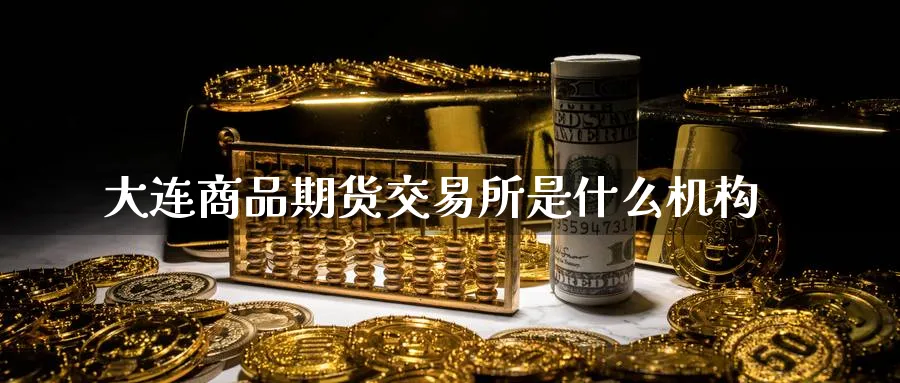 大连商品期货交易所是什么机构_https://www.tian1ad.com_期货学院_第1张