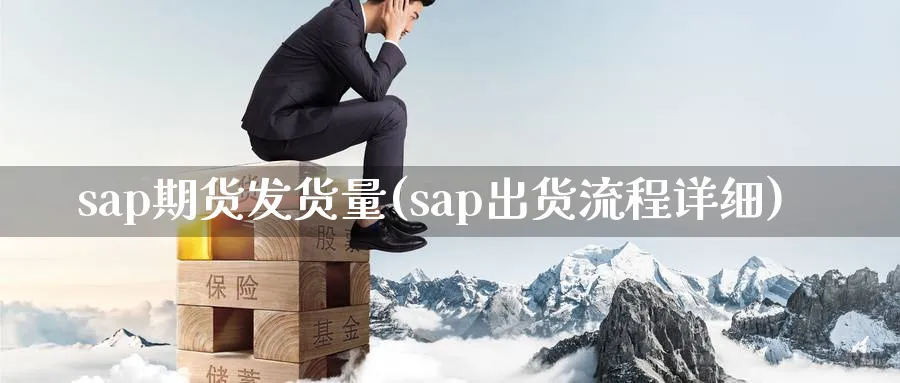 sap期货发货量(sap出货流程详细)_https://www.tian1ad.com_期货学院_第1张
