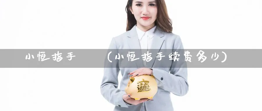 小恒指手續費(小恒指手续费多少)_https://www.tian1ad.com_黄金期货_第1张
