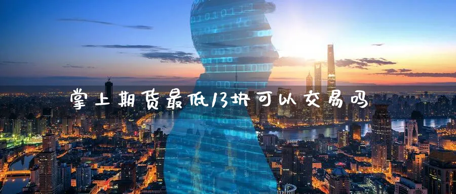 掌上期货最低13块可以交易吗_https://www.tian1ad.com_黄金期货_第1张