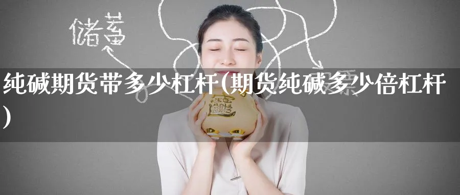 纯碱期货带多少杠杆(期货纯碱多少倍杠杆)_https://www.tian1ad.com_黄金直播室_第1张