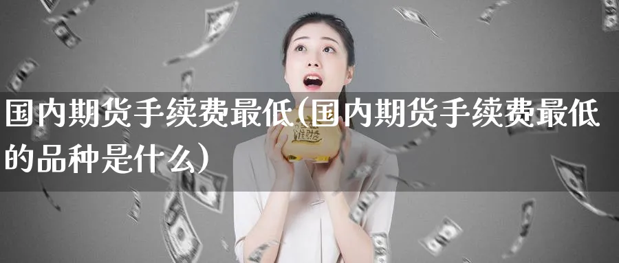国内期货手续费最低(国内期货手续费最低的品种是什么)_https://www.tian1ad.com_黄金期货_第1张