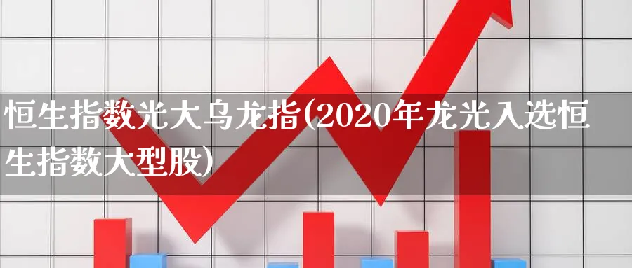 恒生指数光大乌龙指(2020年龙光入选恒生指数大型股)_https://www.tian1ad.com_铜期货_第1张