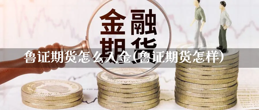 鲁证期货怎么入金(鲁证期货怎样)_https://www.tian1ad.com_黄金直播室_第1张