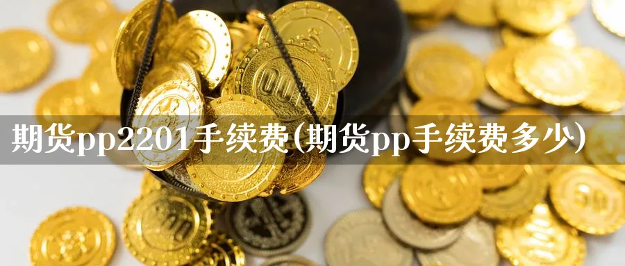 期货pp2201手续费(期货pp手续费多少)_https://www.tian1ad.com_期货学院_第1张
