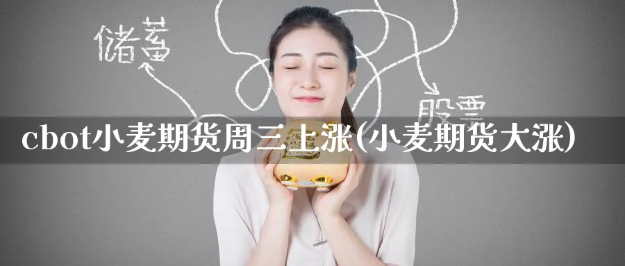 cbot小麦期货周三上涨(小麦期货大涨)_https://www.tian1ad.com_铜期货_第1张